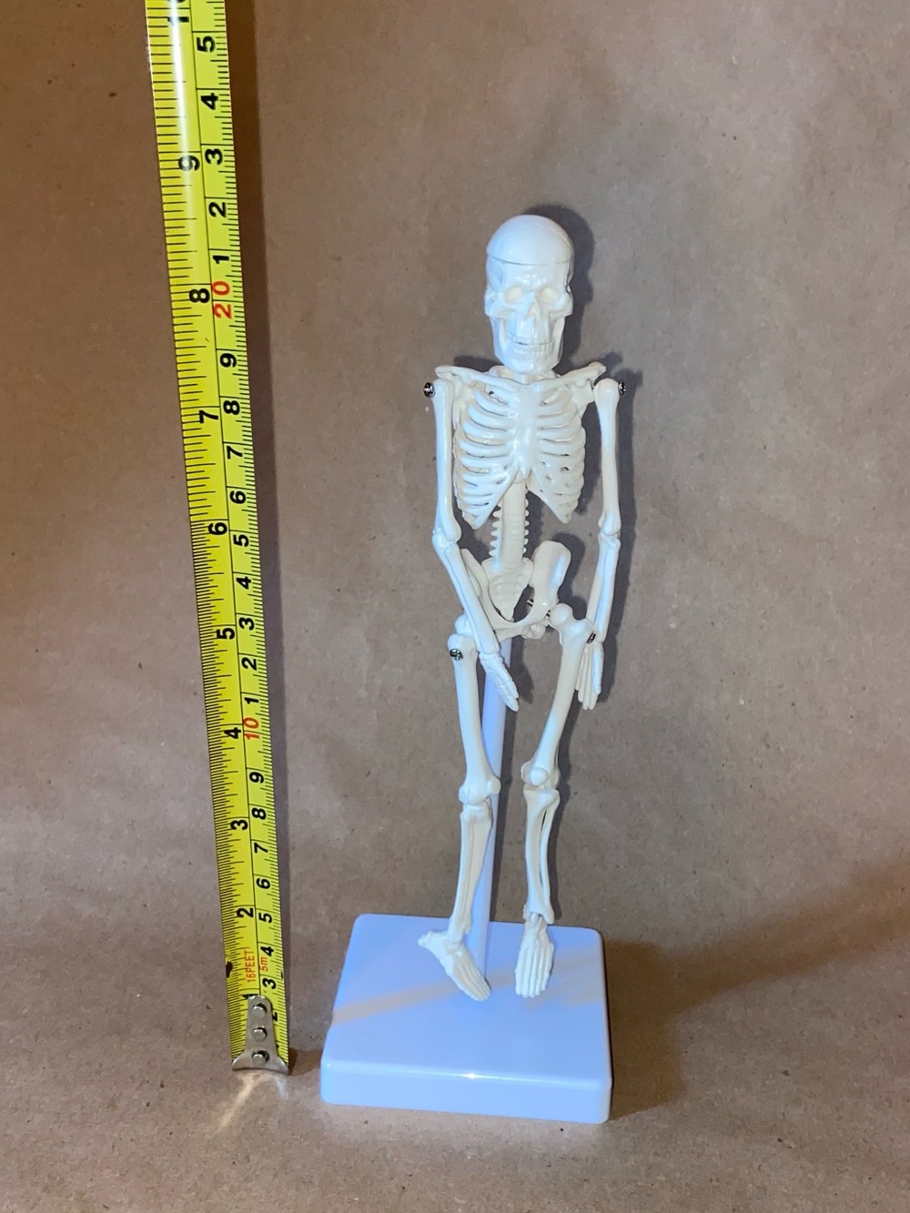 Mini White Skeleton Figurine on Stand